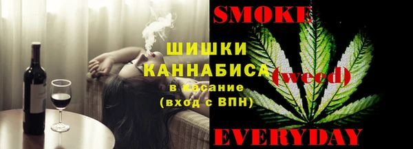 PSILOCYBIN Алзамай