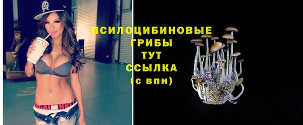 PSILOCYBIN Алзамай