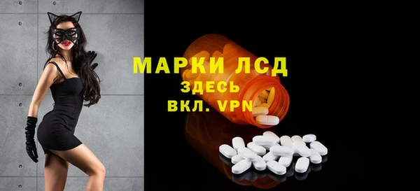 PSILOCYBIN Алзамай