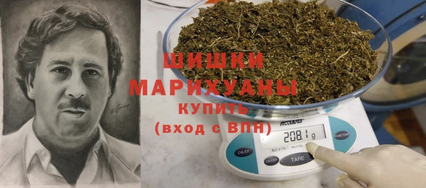 PSILOCYBIN Алзамай