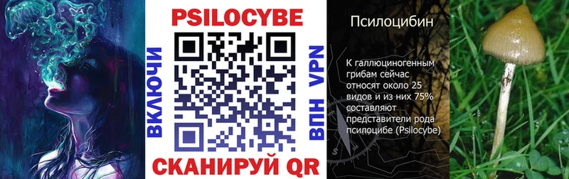 где купить наркоту  Ивдель  Псилоцибиновые грибы Magic Shrooms 