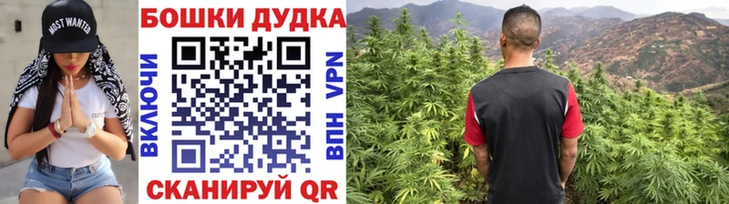 Шишки марихуана планчик  наркота  Ивдель 